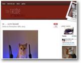 www.jordan-cats.org