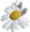daisy stylesheet